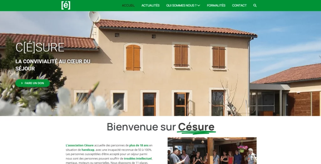 Website Césure